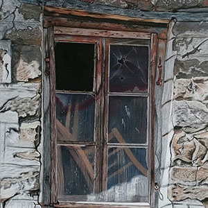 thumbnail of Abandonment