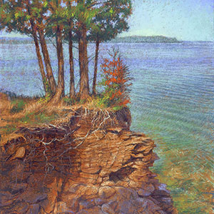 thumbnail of Superior Splendor