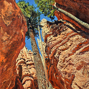 thumbnail of Bryce Canyon