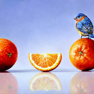 thumbnail of Bluebird & Orange Slices