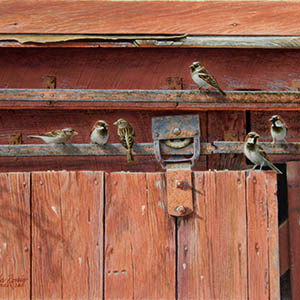 thumbnail of Barnyard Birdies