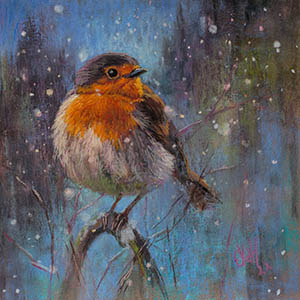 thumbnail of Robin in Snow