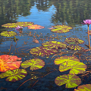thumbnail of Water Lilies at Brookgreen