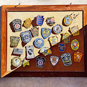 thumbnail of Badges Of Courage