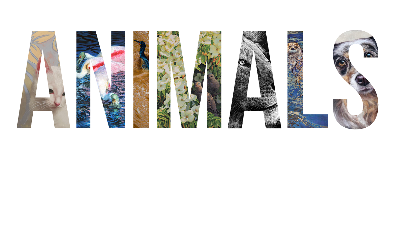 Slide of Animals, Birds & Wildlife