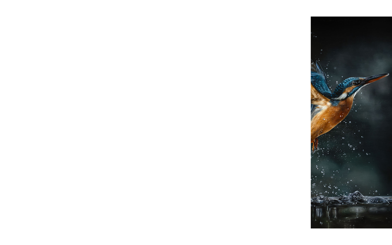 Slide of lastest call for entries