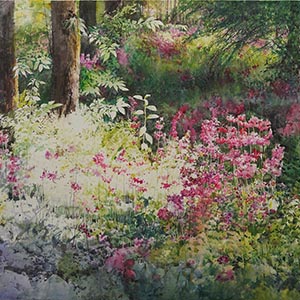thumbnail of Deep in the Dense Forest