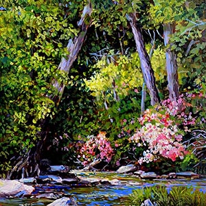 thumbnail of Cool Mountain Stream