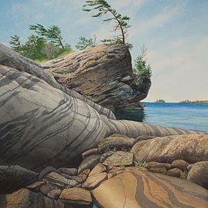 thumbnail of The Windy Shore
