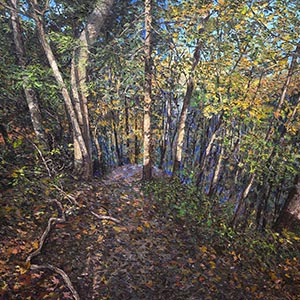 thumbnail of Cuyahoga
