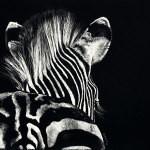 thumbnail of A View From Behind