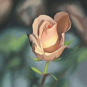 thumbnail of Neapolitan Delight