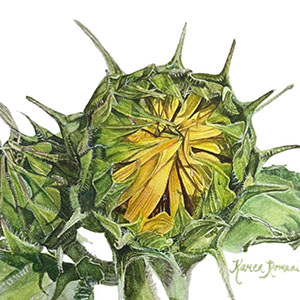 thumbnail of About To Burst