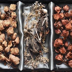 thumbnail of The Box
