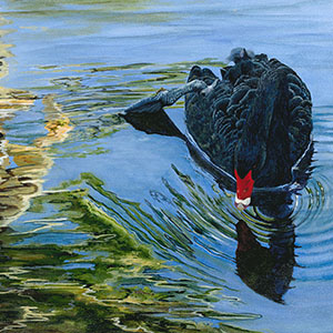 thumbnail of Left Turn