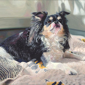 thumbnail of Gizmo: a Gremlin in NYC