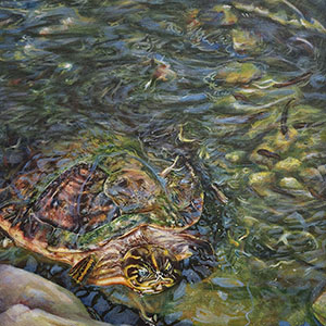 thumbnail of A Chat By The Pond