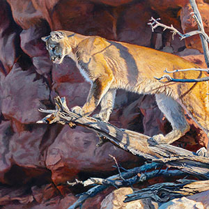 thumbnail of Out On A Limb