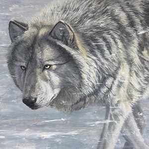 thumbnail of Winter Sentinel