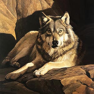 thumbnail of Den  Mother - Timber Wolf