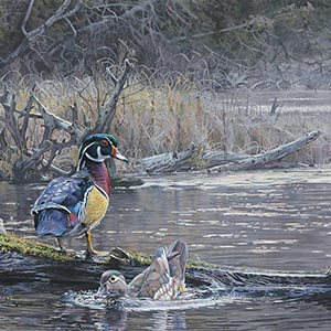 thumbnail of Morning River Guard