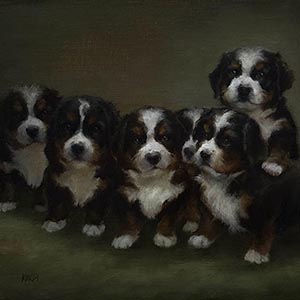 thumbnail of Pick o' the Litter