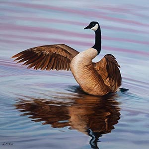 thumbnail of Silly Canada Goose