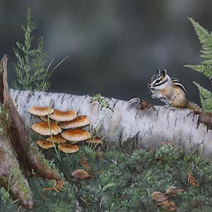 thumbnail of Mushrooms & Moss