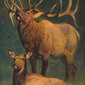 thumbnail of American Nobility