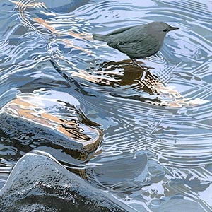 thumbnail of Early Morning Dip